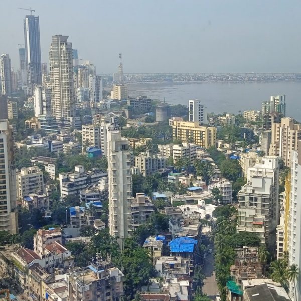 IMG_20221015_110000_1